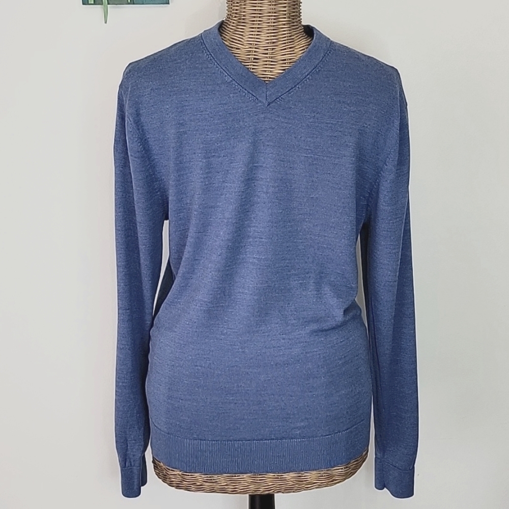 Daniel Cremieux Signature Collection V-Neck 100% Merino Wool Sweater  BinQ